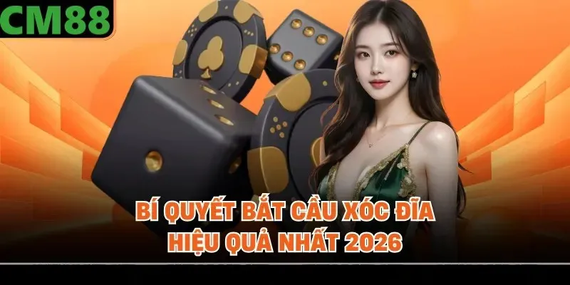 Bí quyết bắt cầu xóc đĩa hiệu quả nhất 2026